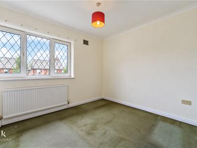 Picture 13